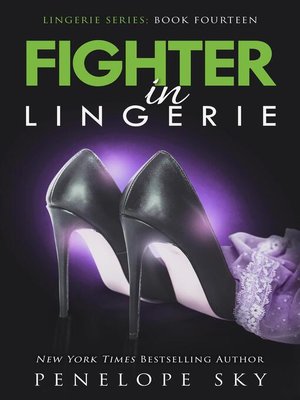 cover image of Fighter in Lingerie